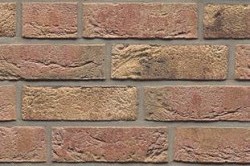 1-250x250
